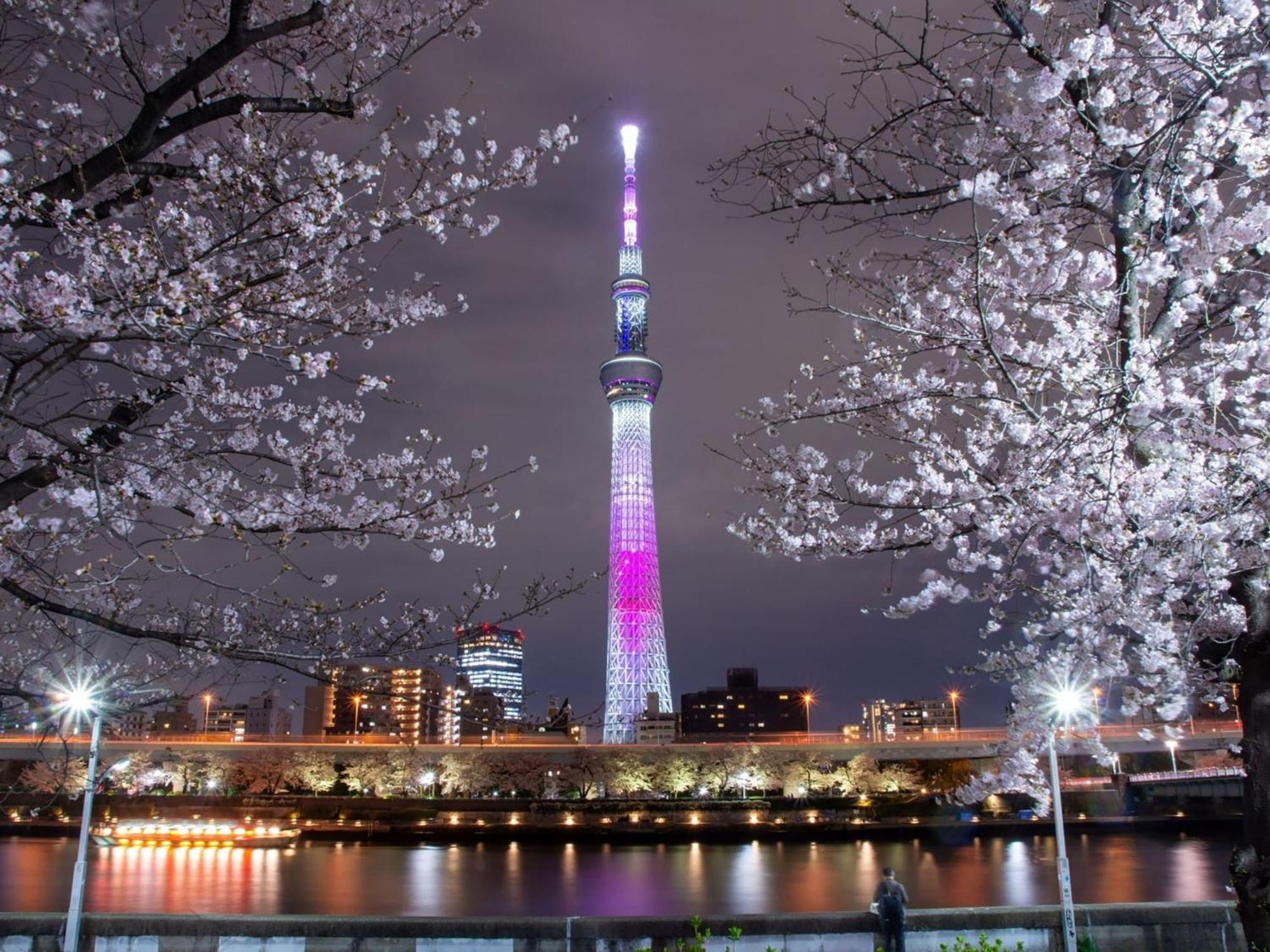 Rakuten Stay Tokyo Asakusa Twin Room Εξωτερικό φωτογραφία